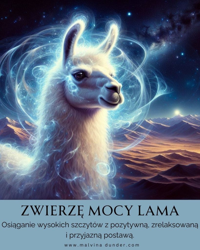 Lama Zwierzę Mocy