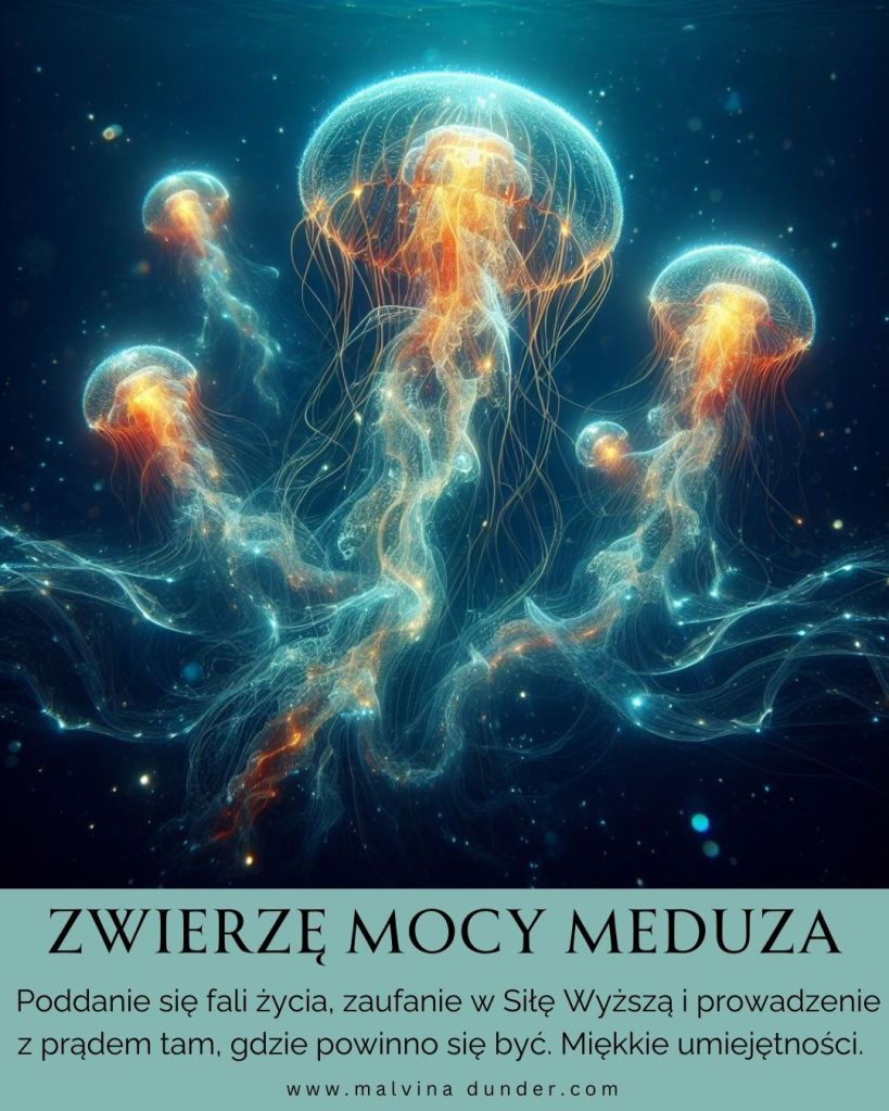 Meduza Zwierzę Mocy