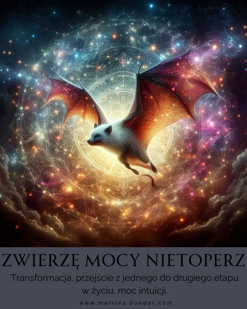 Nietoperz Zwierzę Mocy