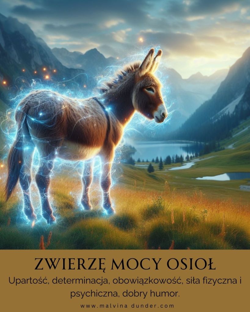 Osioł Zwierzę Mocy