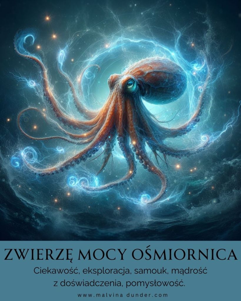 Ośmiornica Zwierzę Mocy