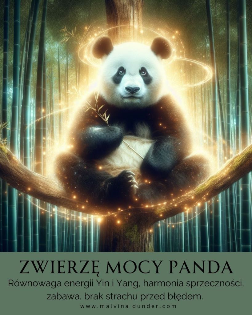 Panda Zwierzę Mocy
