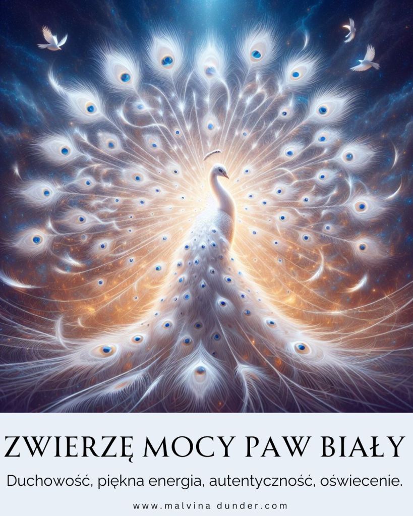 Paw biały Zwierzę Mocy