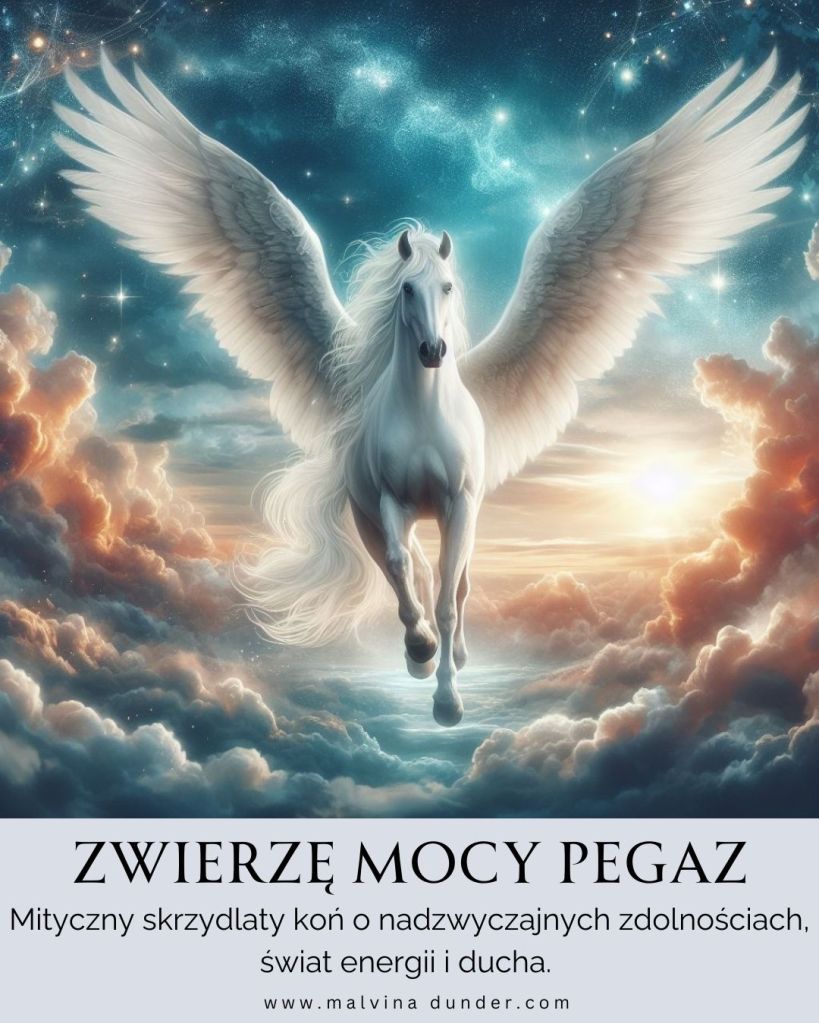 Pegaz Zwierzę Mocy