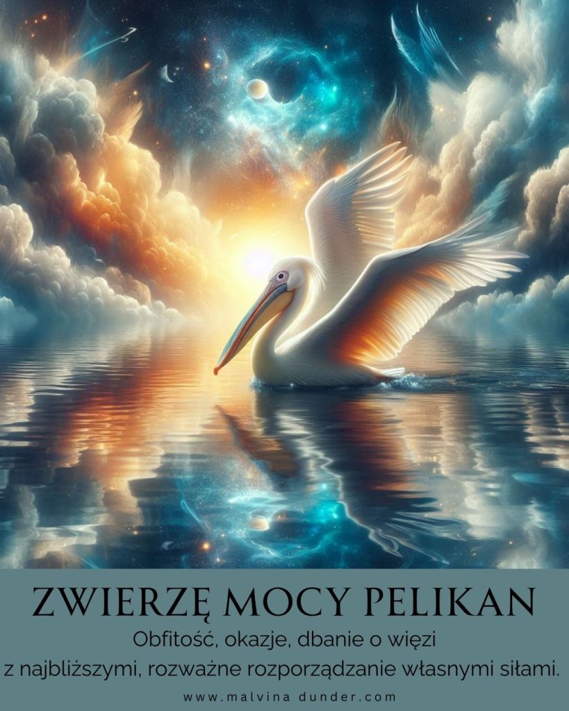 Pelikan Zwierzę Mocy