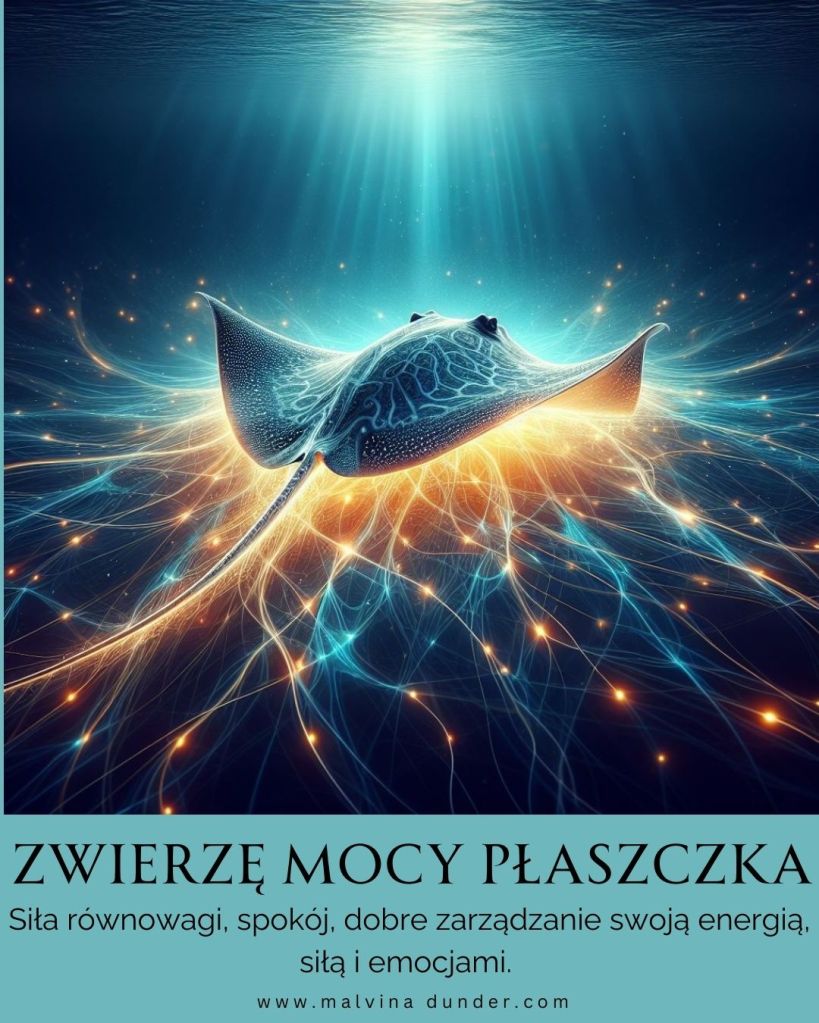Płszczka, manta raja Zwierzę Mocy