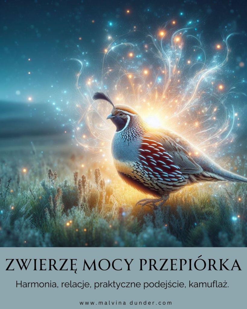 Przepiórka Zwierzę Mocy