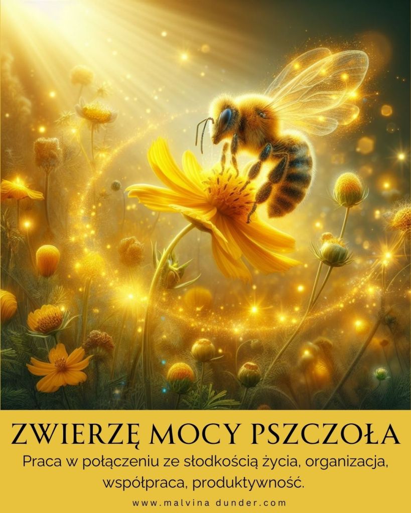 Pszczoła Zwierzę Mocy
