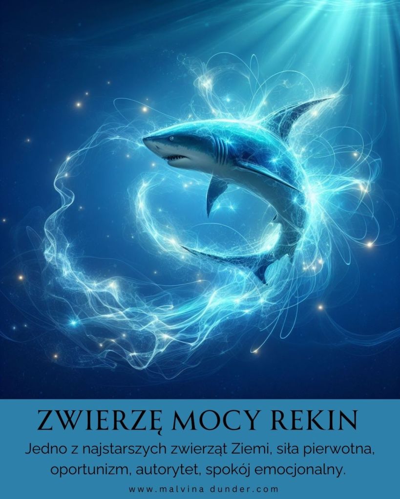 Rekin Zwierzę Mocy