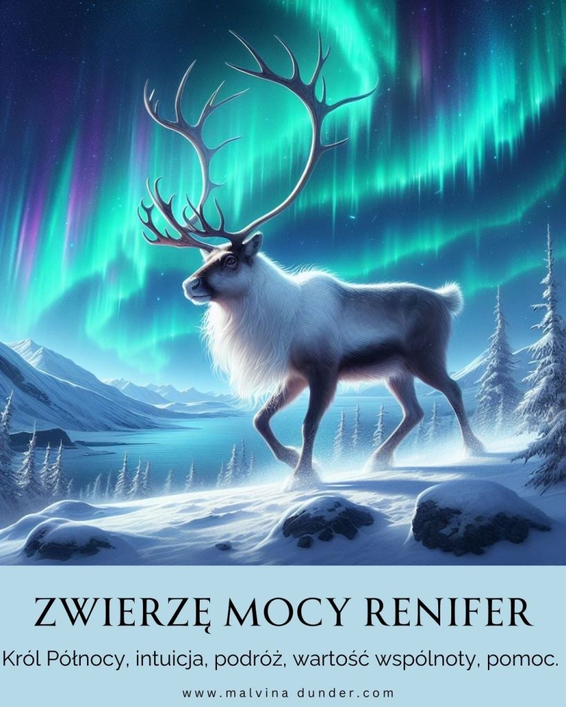 Renifer Zwierzę Mocy