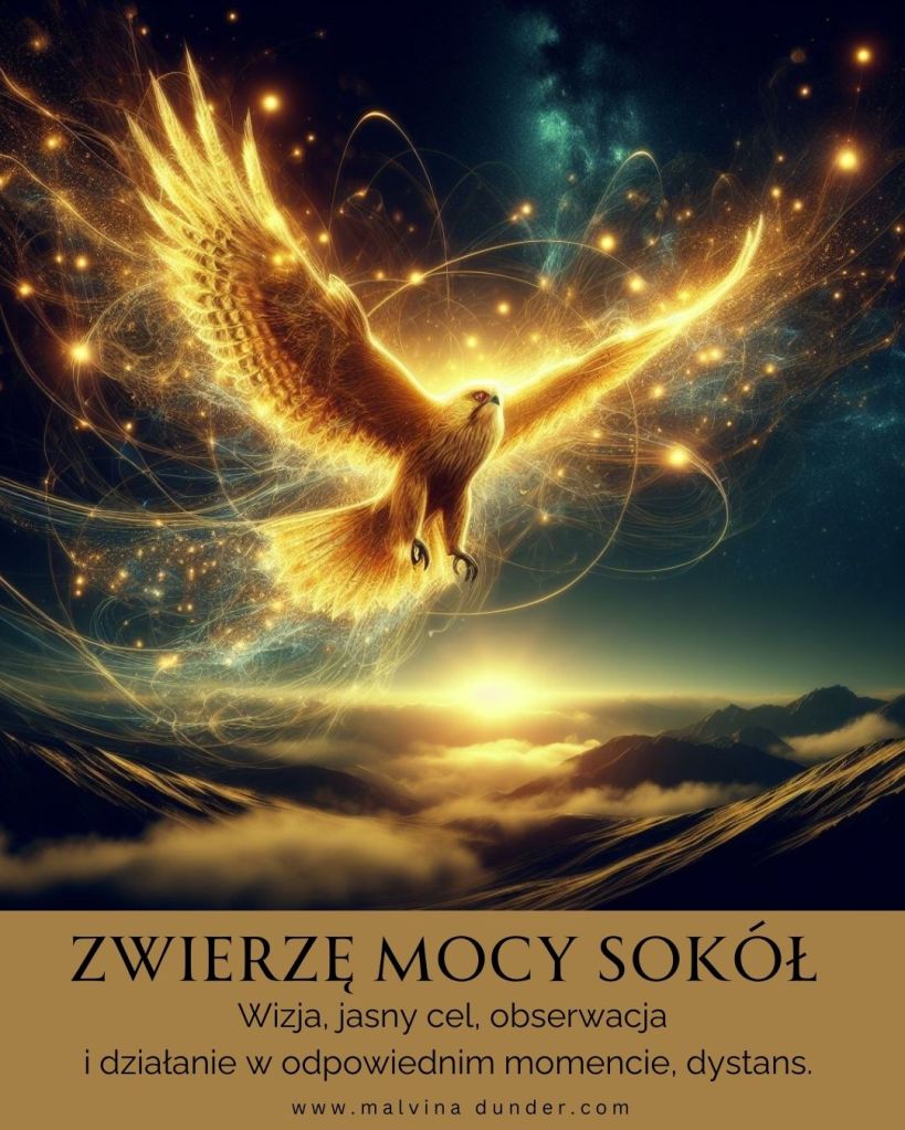 Sokół Zwierzę Mocy