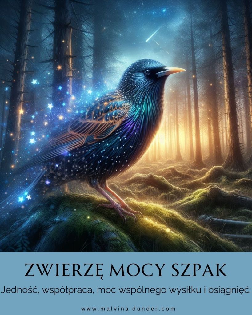 Szpak Zwierzę Mocy