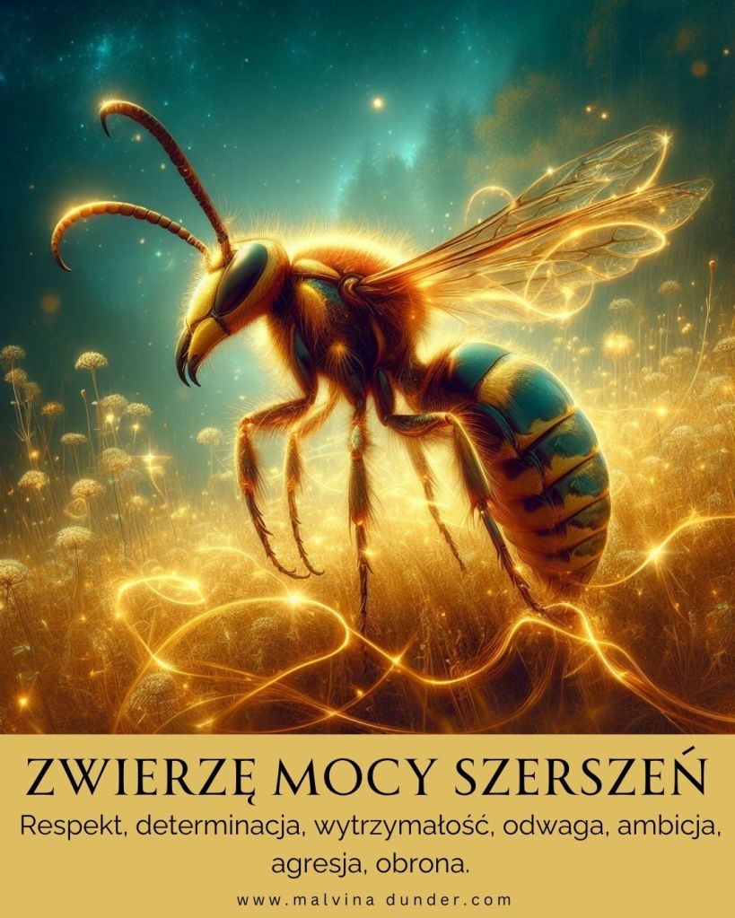 Szerszeń Zwierzę Mocy