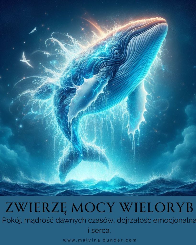 Wieloryb waleń Zwierzę Mocy