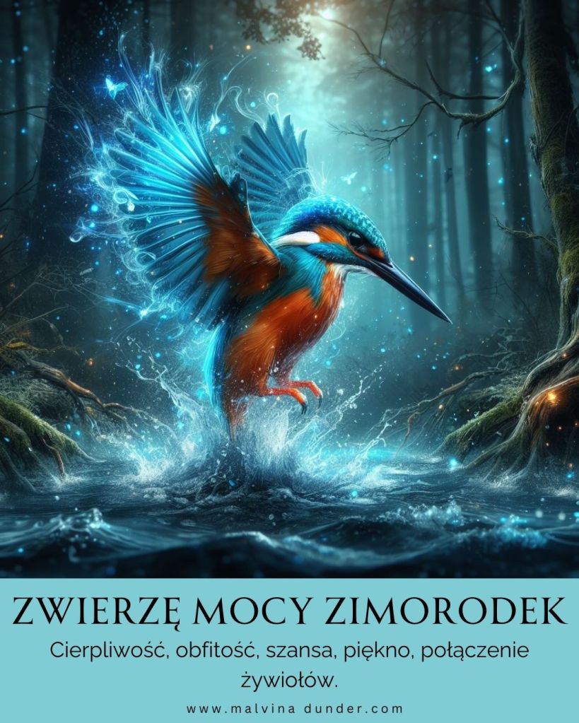 Zimorodek Zwierzę Mocy