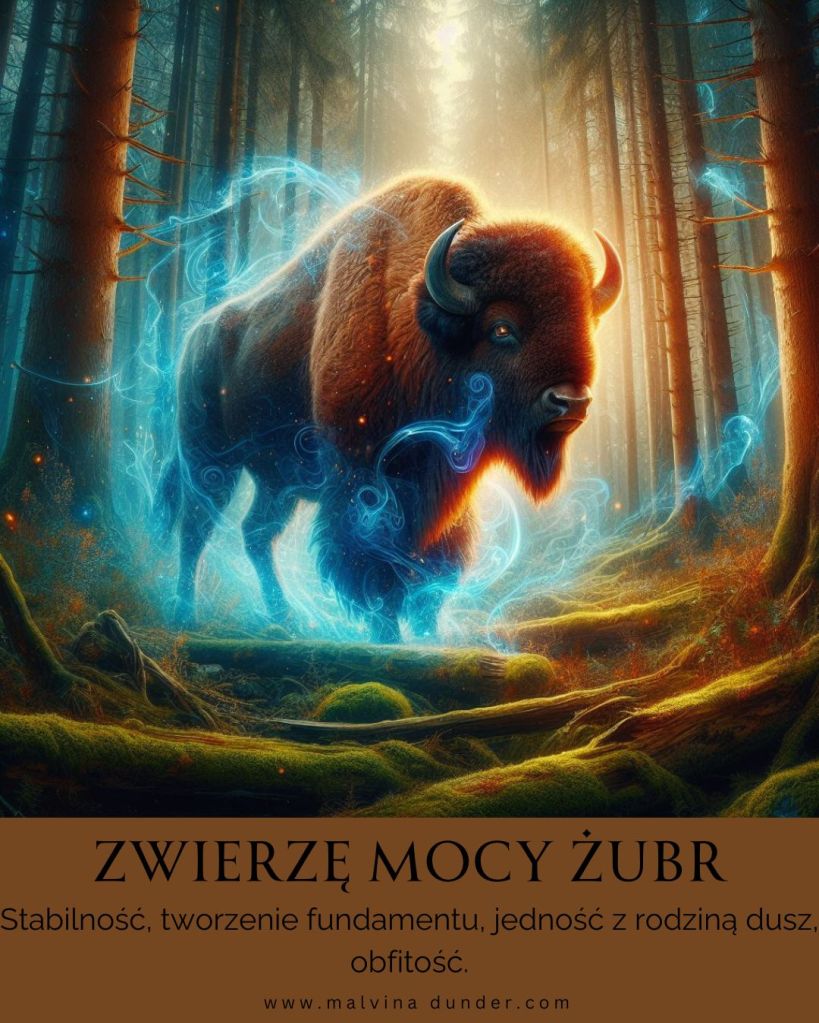 Żubr Zwierzę Mocy