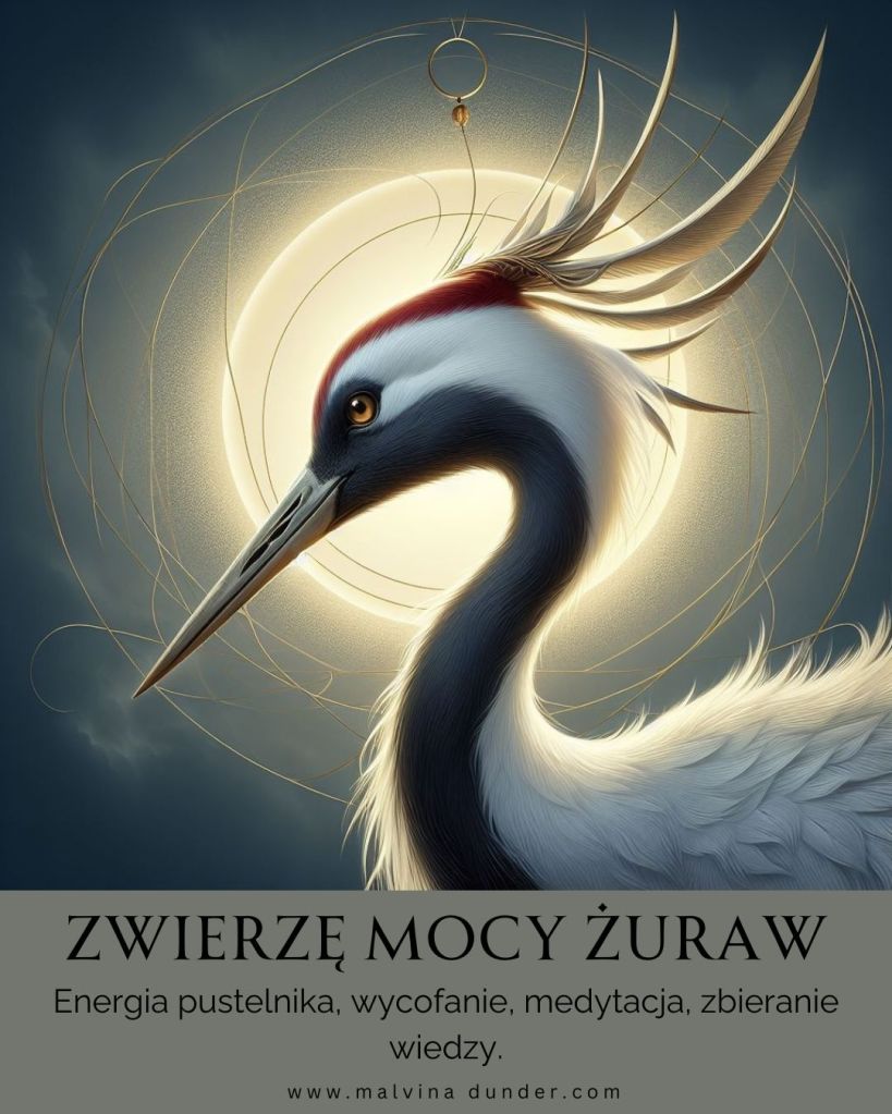 Żuraw Zwierzę Mocy