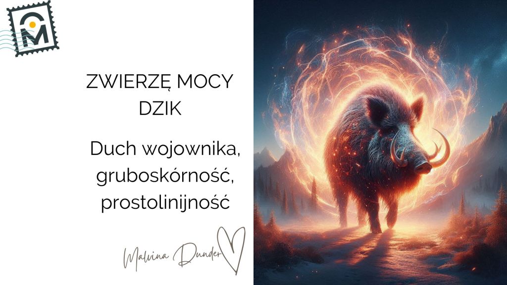 Zwierzę Mocy Dzik znaczenie – siła wojownika, odwaga, prawda bez&nbsp;kompromisów