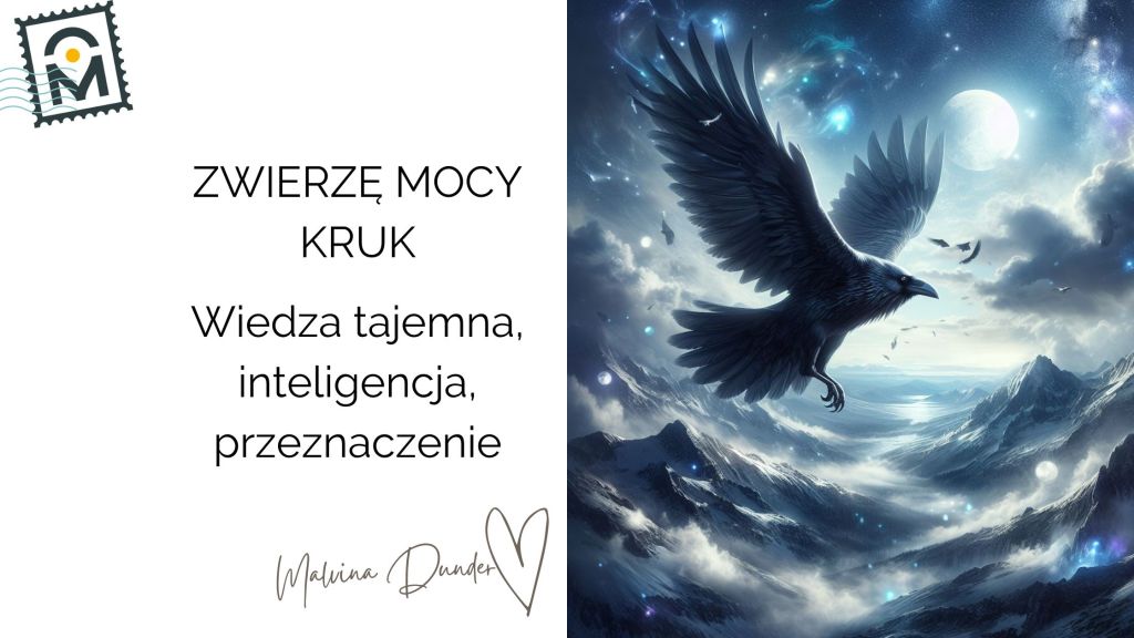 KRUK Zwierzę Mocy, znaczenie, symbol, przesłanie, właściwości