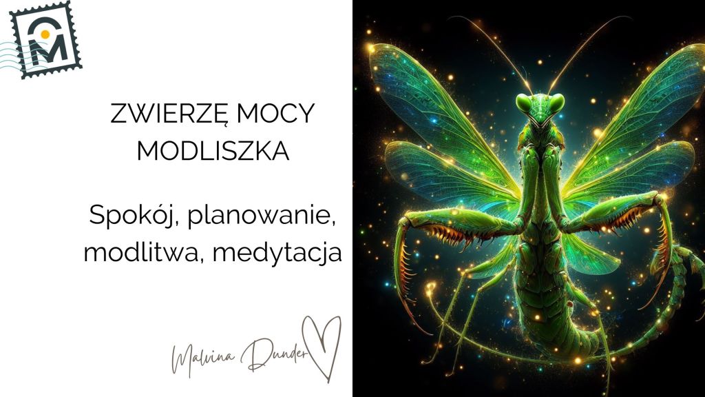 Zwierzę Mocy Modliszka znaczenie – bezruch, medytacja,&nbsp;modlitwa