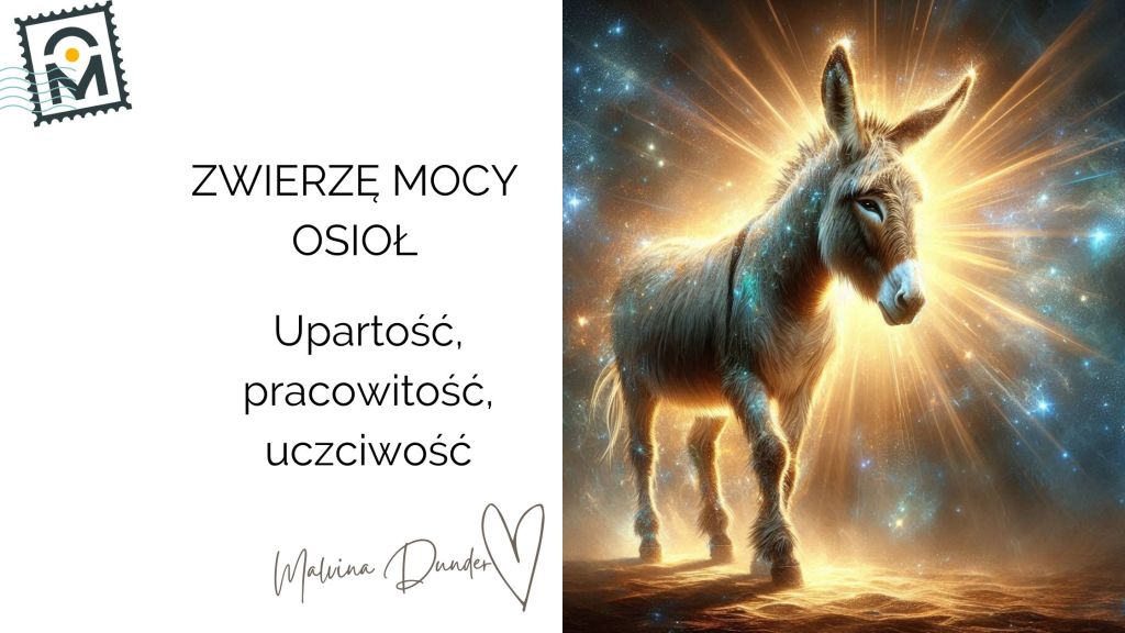 Zwierzę Mocy Osioł znaczenie – pozytywny upór, wytrwałość i zdrowe&nbsp;granice