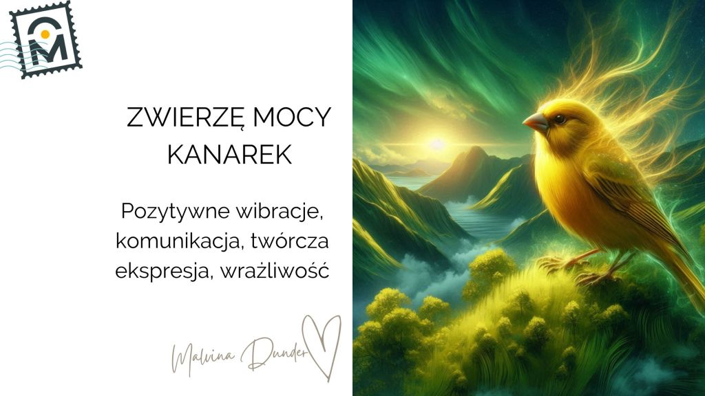 Zwierzę Mocy Kanarek znaczenie – radość, ekspresja siebie, inspiracja,&nbsp;wrażliwość