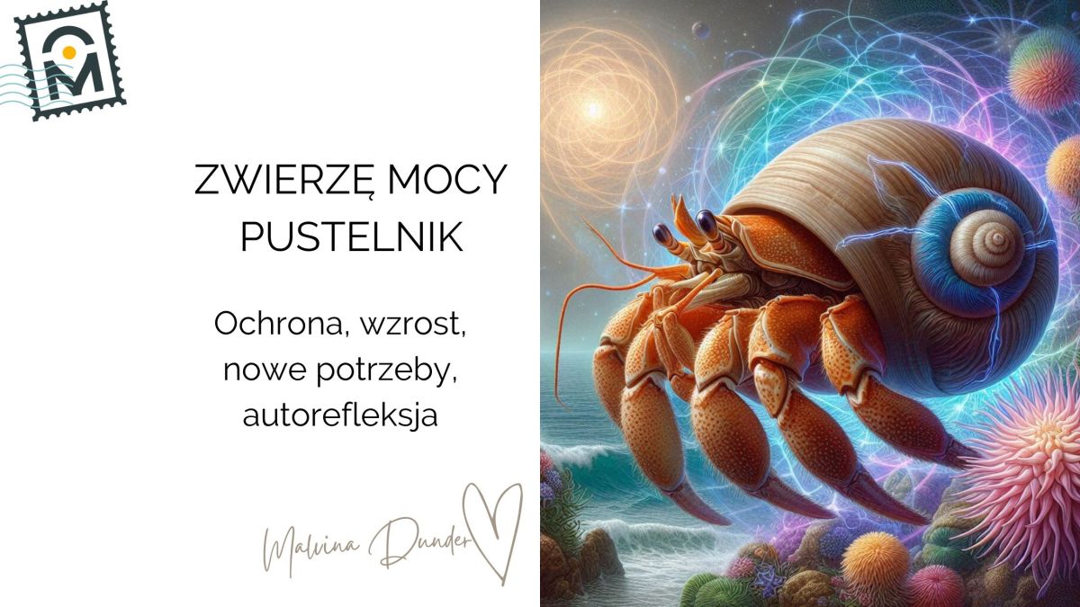 Zwierzę Mocy Krab Pustelnik znaczenie i symbolika – ochrona i zmiana „za ciasnego&nbsp;domu”