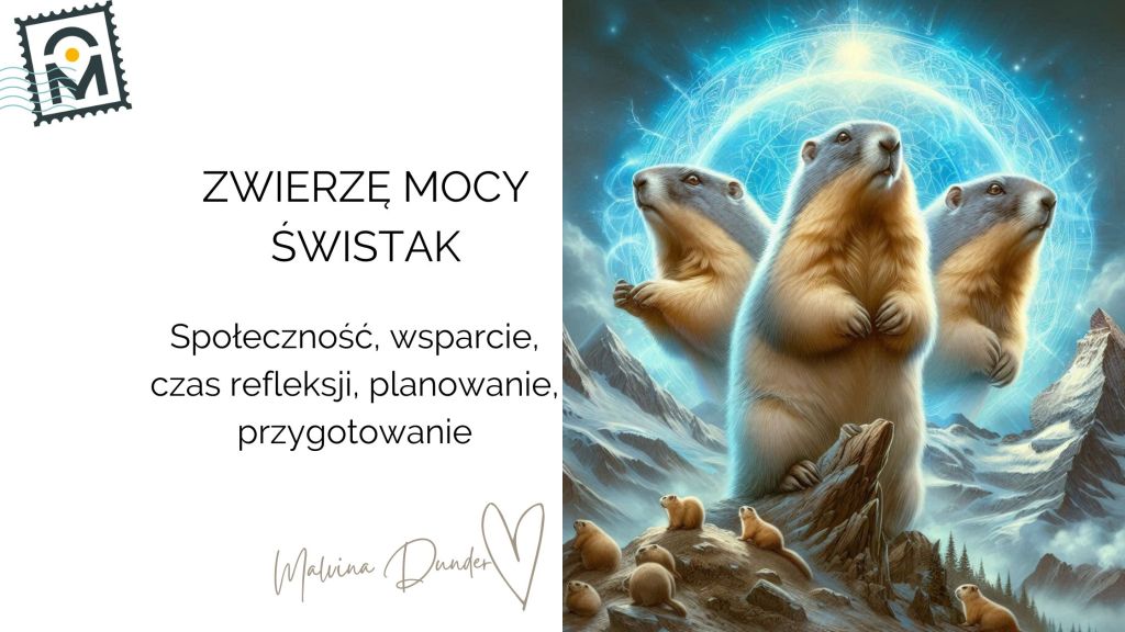 Zwierzę Mocy Świstak znaczenie, symbolika – społeczność, planowanie i cykle&nbsp;życia