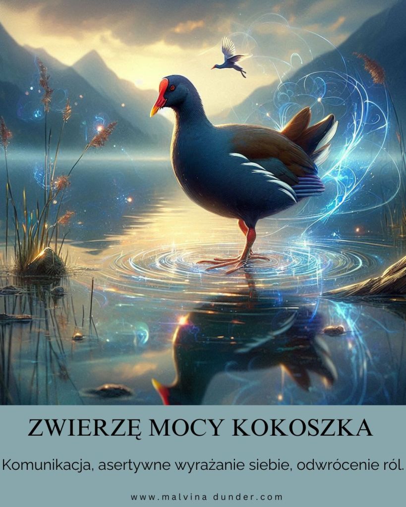 kokoszka Zwierzę Mocy