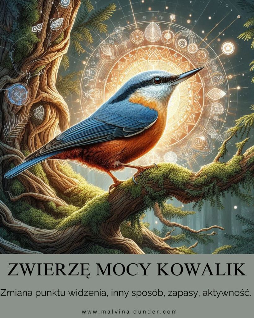 kowalik Zwierzę Mocy