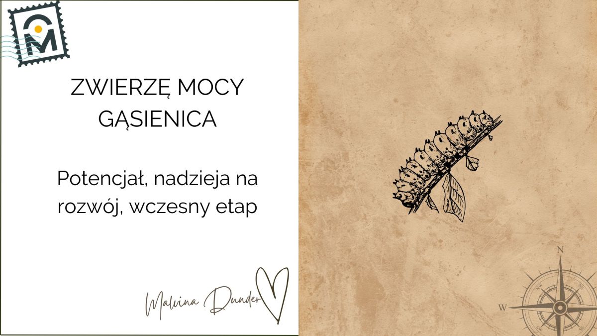 Zwierzę Mocy Gąsienica znaczenie – potencjał, cierpliwość i przemiana w&nbsp;motyla