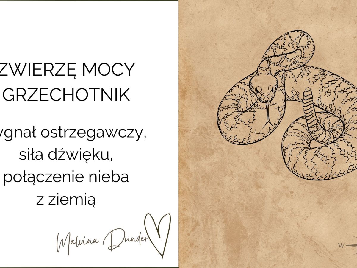Zwierzę Mocy Grzechotnik znaczenie – sygnał ostrzegawczy, moc dźwięku,&nbsp;transformacja