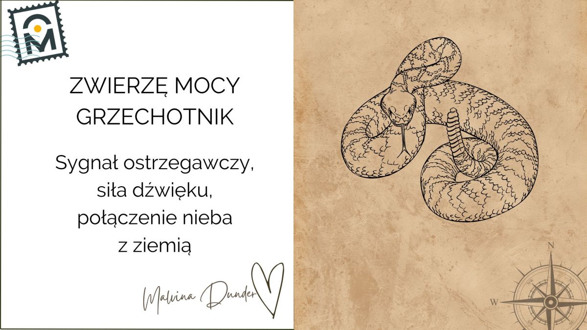 Zwierzę Mocy Grzechotnik znaczenie – sygnał ostrzegawczy, moc dźwięku,&nbsp;transformacja