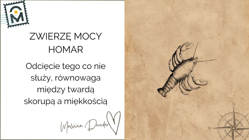 Zwierzę Mocy Homar znaczenie — siła ochrony, granice i&nbsp;oczyszczenie