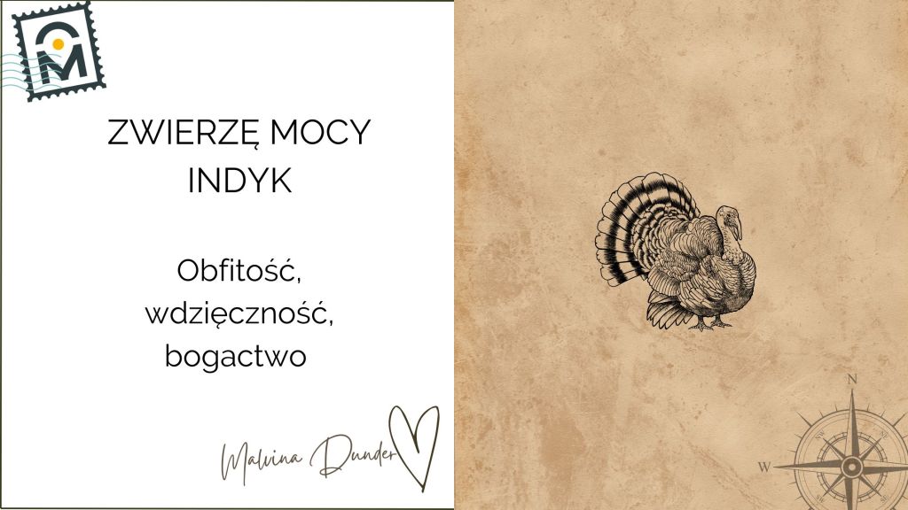 Zwierzę Mocy Indyk –  Symbol Wdzięczności, Obfitości i&nbsp;Pokoju