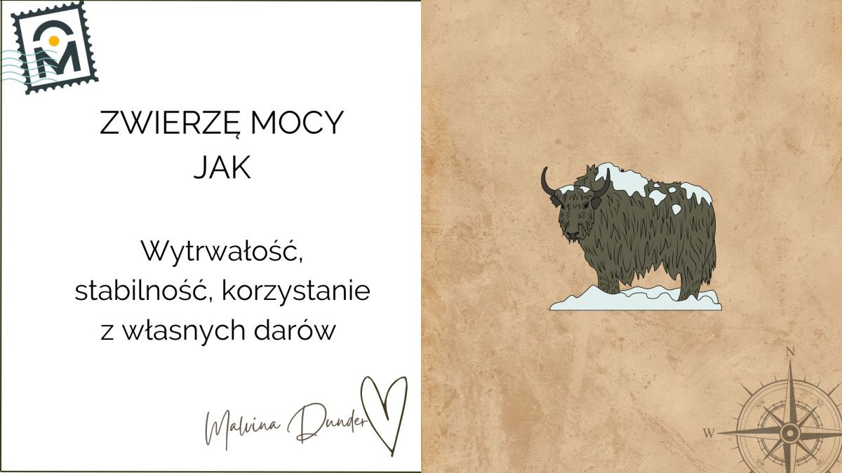 Zwierzę Mocy Jak znaczenie –  siła charakteru i przetrwania,&nbsp;wytrzymałość