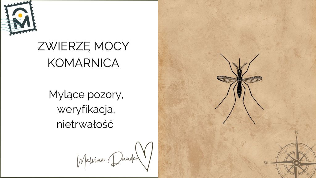 Zwierzę Mocy Komarnica znaczenie – pozory, myślenie krytyczne, carpe&nbsp;diem