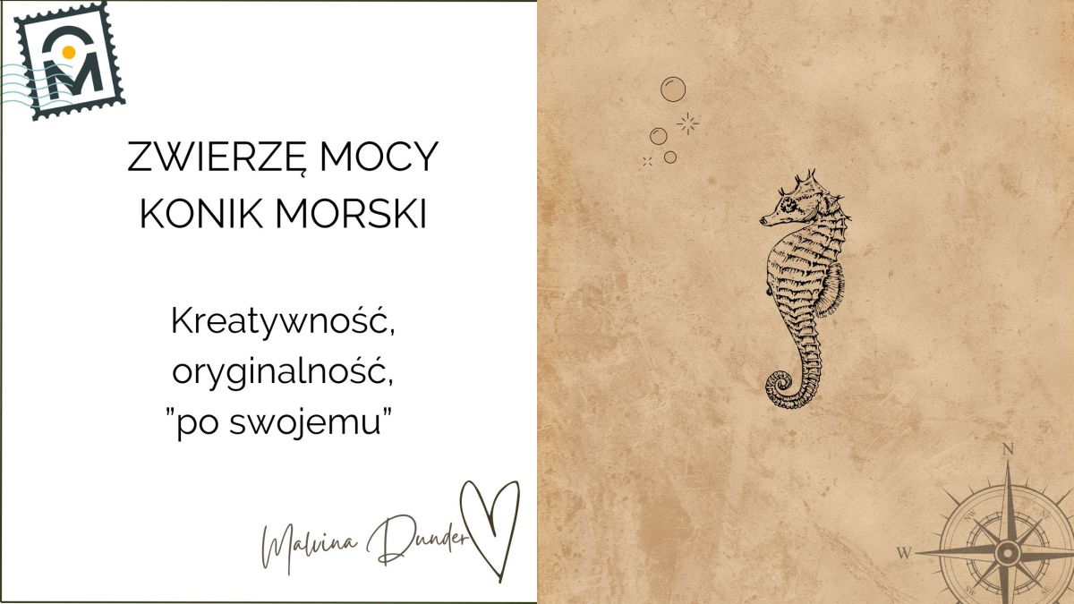 Zwierzę Mocy Konik Morski znaczenie — symbol równowagi, wyobraźni,&nbsp;intuicji