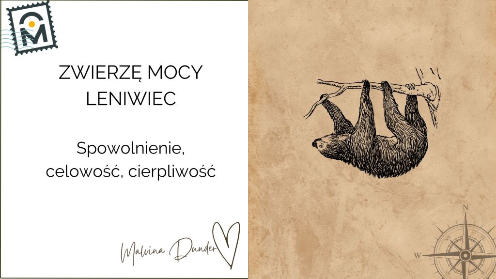 Zwierzę Mocy Leniwiec znaczenie – zwolnienie tempa, cierpliwość,&nbsp;uśmiech