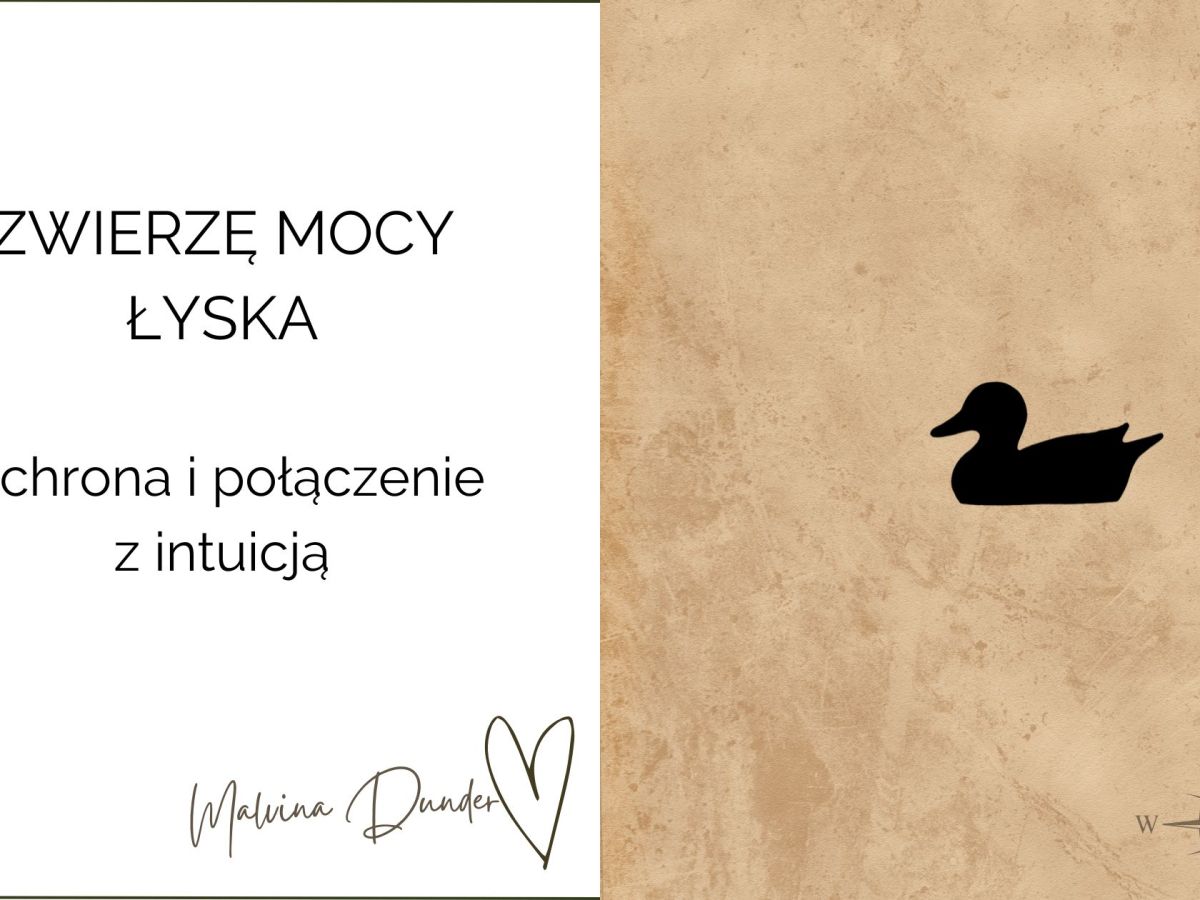 Zwierzę Mocy Łyska znaczenie – ochrona i połączenie z&nbsp;intuicją