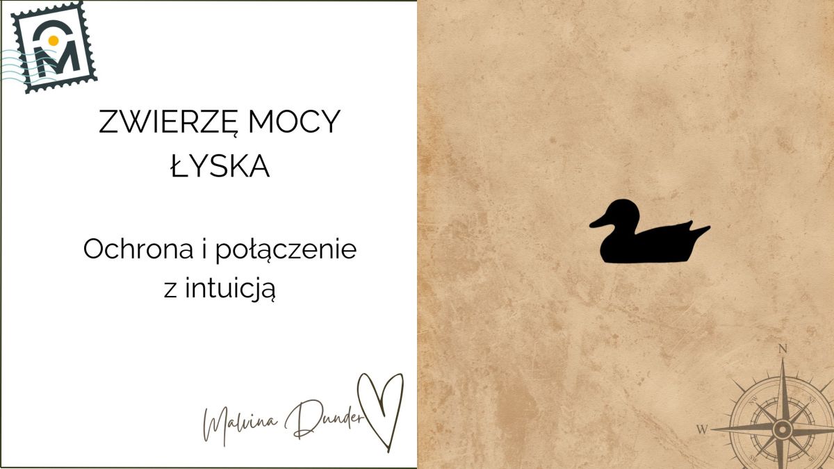 Zwierzę Mocy Łyska znaczenie – ochrona i połączenie z&nbsp;intuicją