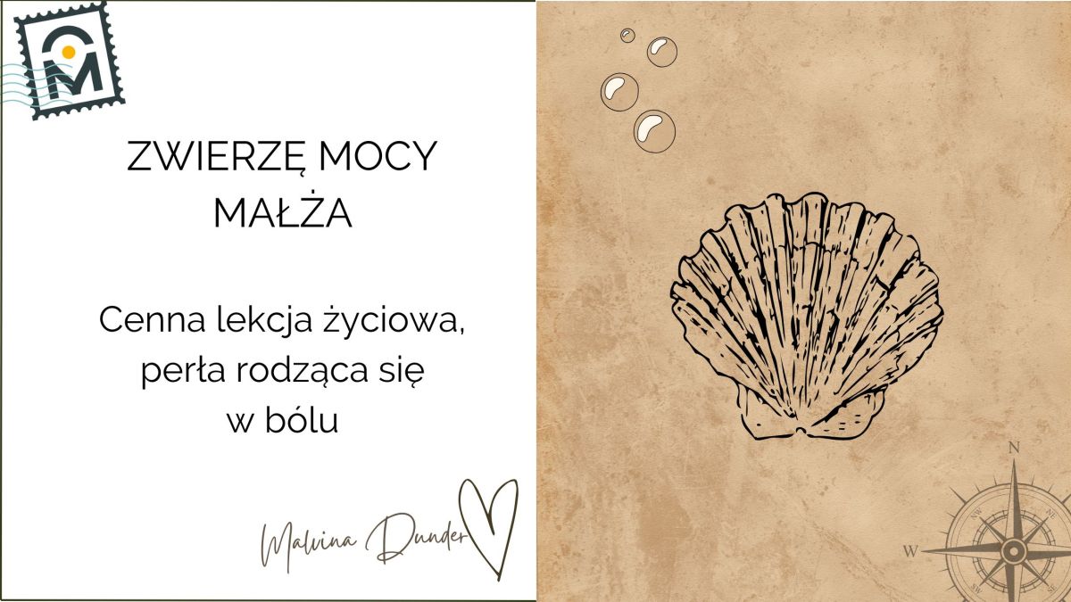 Małża — Zwierzę Mocy Wewnętrznego Skarbu, Wrażliwości i Perły&nbsp;Życia