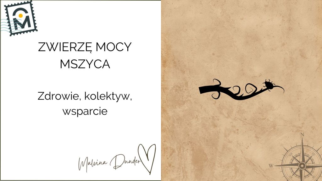 Zwierzę Mocy Mszyca znaczenie – dbaj o&nbsp;siebie!