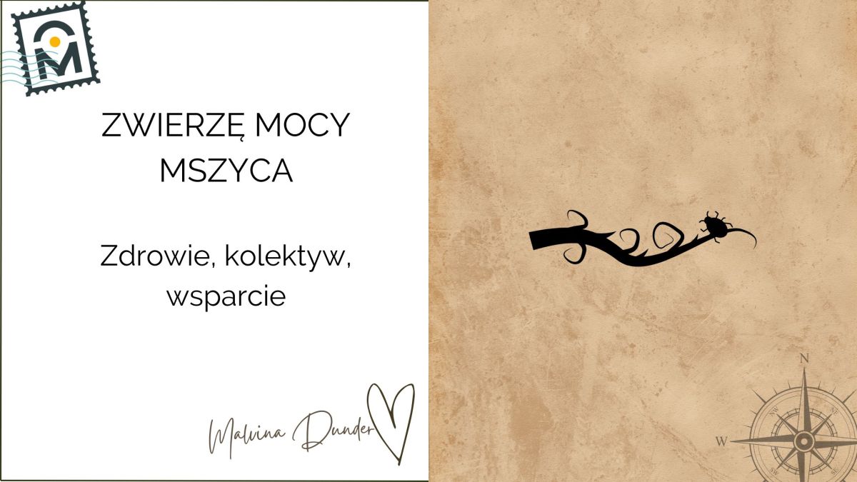 Zwierzę Mocy Mszyca znaczenie – dbaj o&nbsp;siebie!