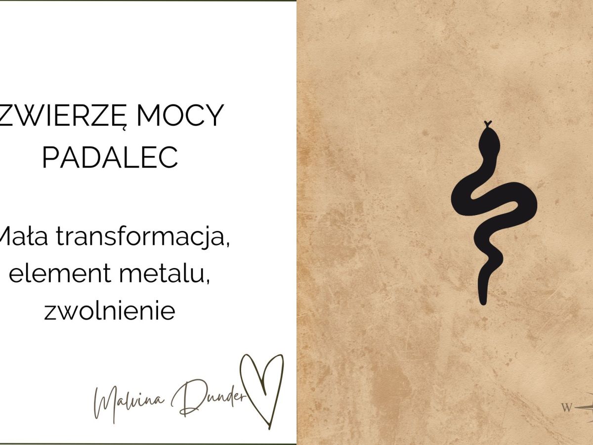 Zwierzę Mocy Padalec znaczenie – siła ukryta pod powierzchnią, transformacja i subtelna&nbsp;ochrona