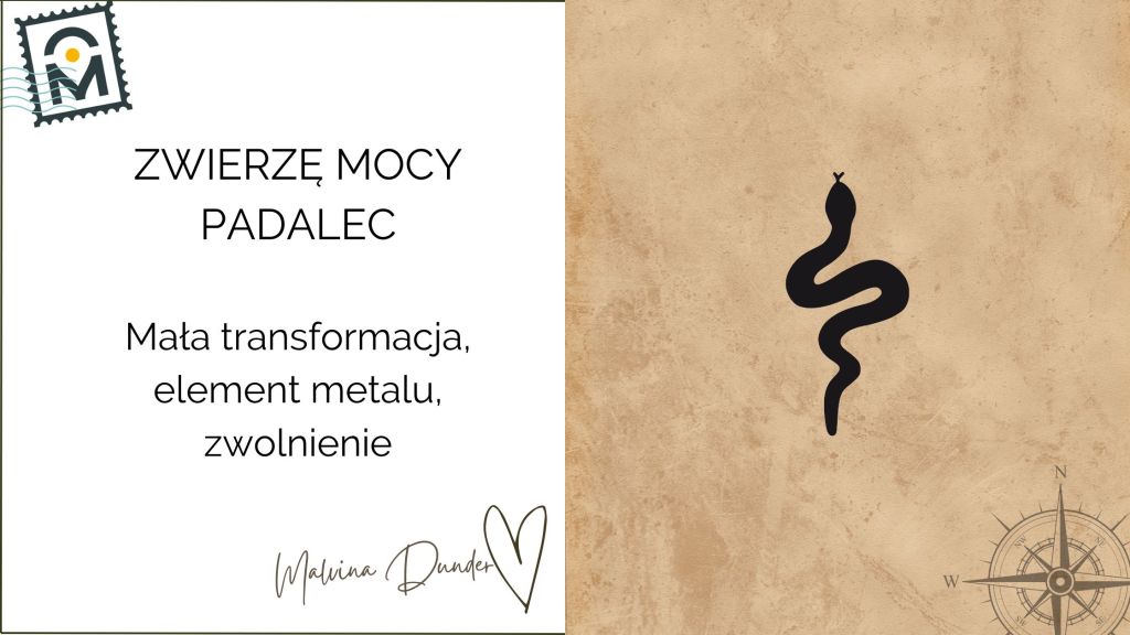 Zwierzę Mocy Padalec znaczenie – siła ukryta pod powierzchnią, transformacja i subtelna&nbsp;ochrona