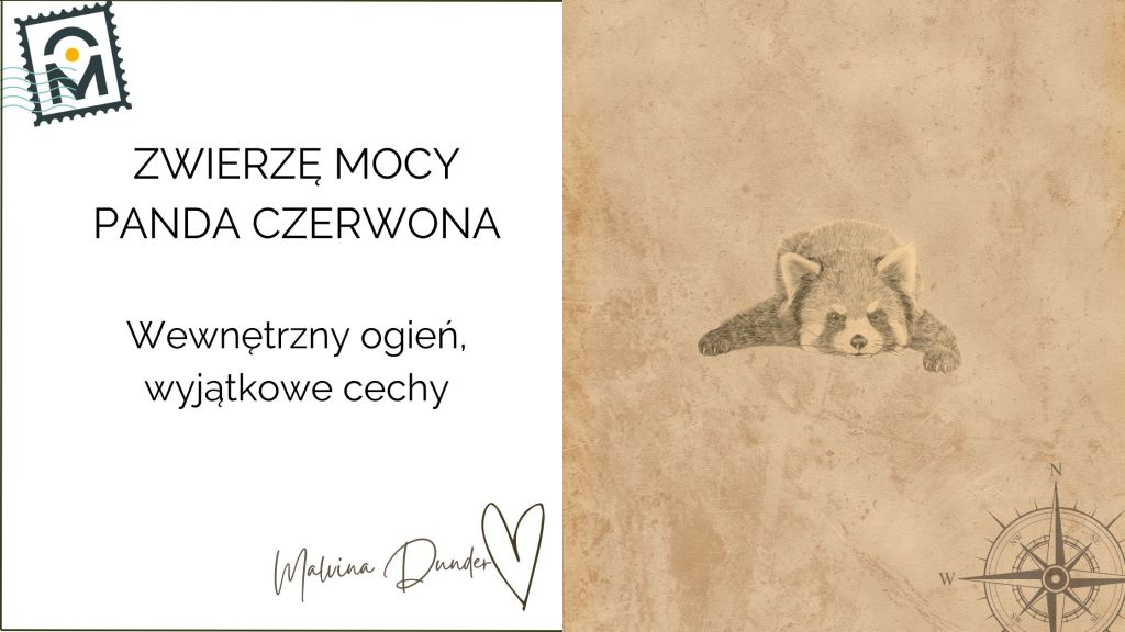 Zwierzę Mocy Panda Czerwona znaczenie – niezależność, równowaga,&nbsp;unikalność