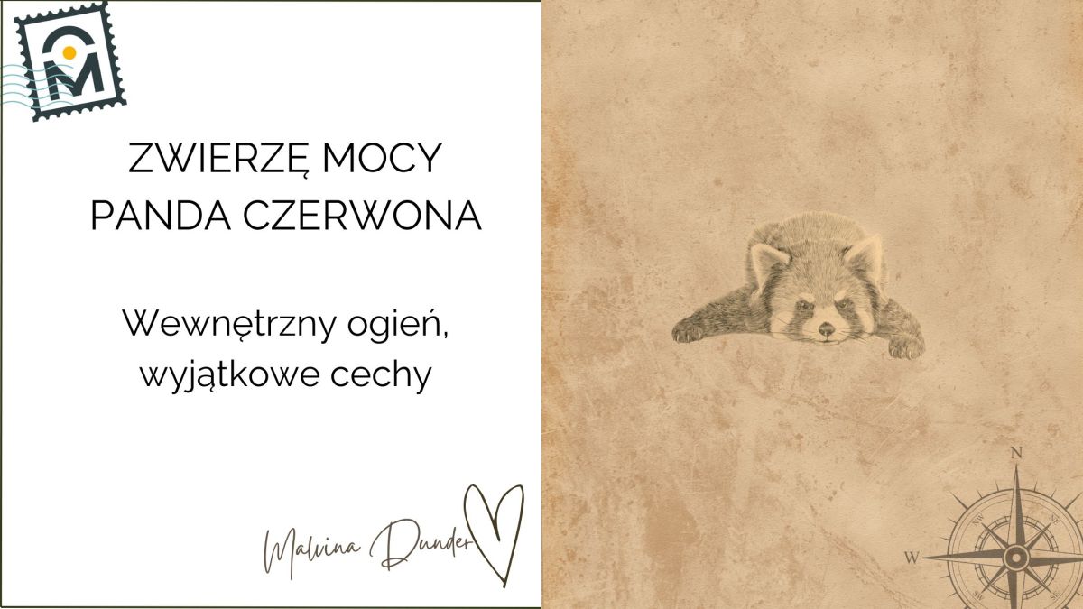 Zwierzę Mocy Panda Czerwona znaczenie – niezależność, równowaga,&nbsp;unikalność