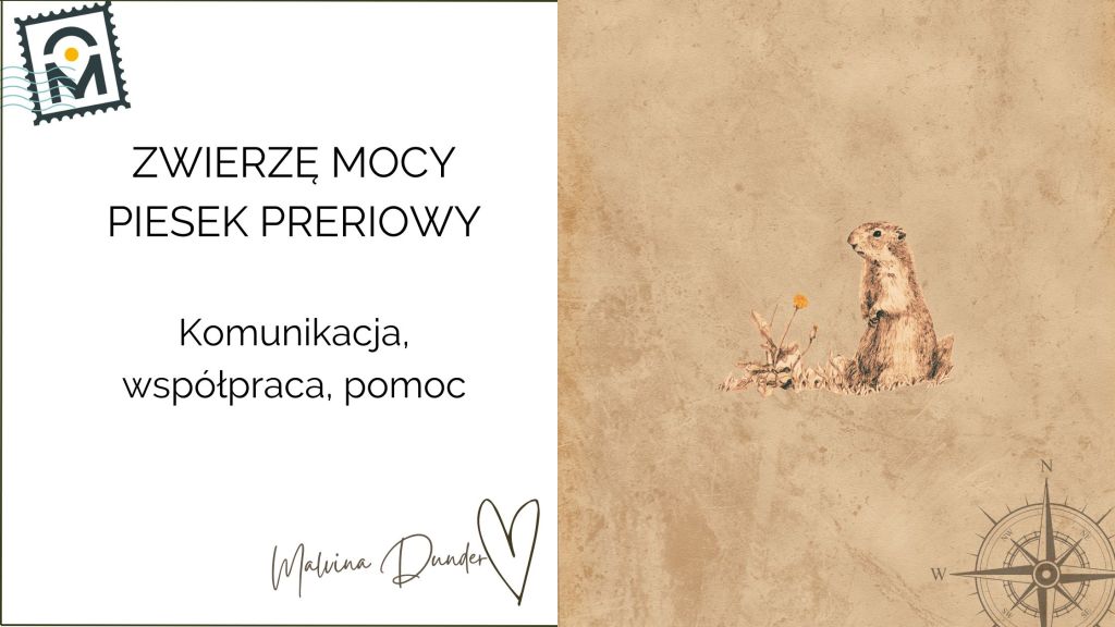 Zwierzę Mocy Piesek Preriowy znaczenie — siła wspólnoty, komunikacji i wewnętrznego&nbsp;spokoju