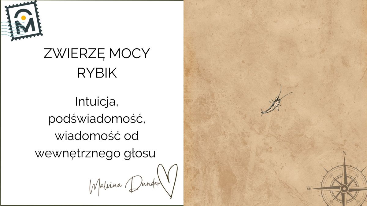 Zwierzę Mocy Rybik (Srebrnik) znaczenie – intuicja, cisza i wewnętrzne&nbsp;prowadzenie